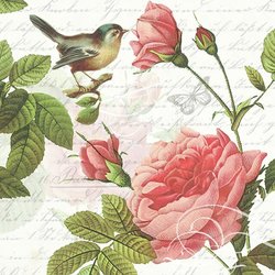 Napkin Sophie, 33x33cm 20stk ikke relevant - Ambiente