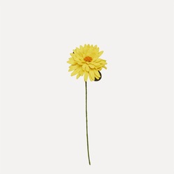 Ullfilt Stilk m/stor Blomst, Gul ikke relevant - UND Norway
