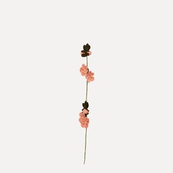 Ullfilt Stilk m/blomster i klaser, Gammelrosa ikke relevant - UND Norway