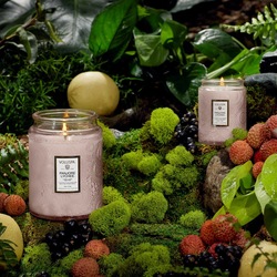 Duftlys - Panjore Lychee 156g 50t ikke relevant - Voluspa